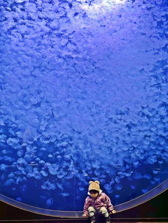 ▲▼鶴岡市立加茂水族館。（圖／部落客Mika出走美食日誌授權提供）