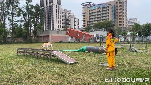 ▲台南市消防局特搜大隊，由領犬員卓佳瑩搭配搜救犬史迪奇Stitch前往參加評量檢測，高分通過IRO RH-T A瓦礫搜救犬中級認證，再添搜救新救災量能。（圖／記者林東良翻攝，下同）