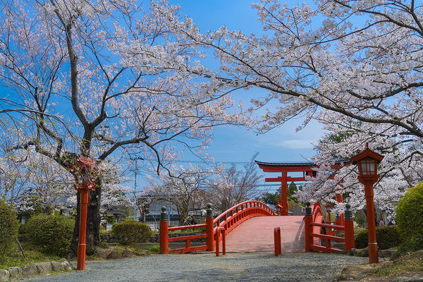 ▲▼福島涼岡八幡神社。（圖／福島縣觀光復興推進委員會）