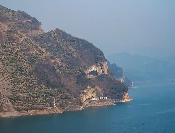 ▲▼湖北宜昌狗狗山。（圖／翻攝自九派新聞）