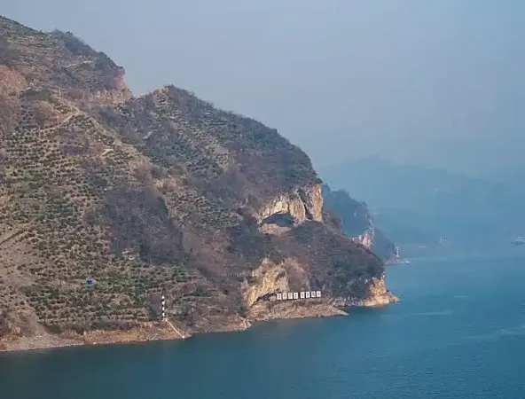 ▲▼湖北宜昌狗狗山。（圖／翻攝自九派新聞）