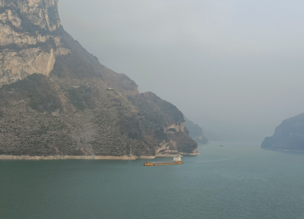 ▲▼湖北宜昌狗狗山。（圖／翻攝自九派新聞）