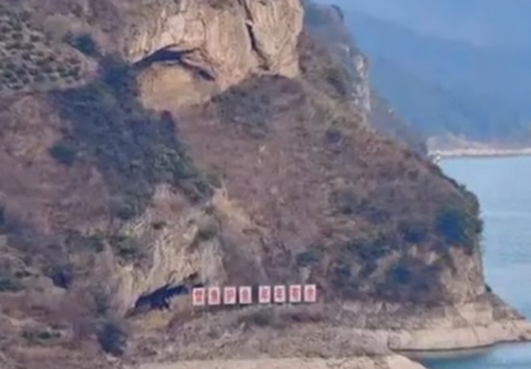 ▲▼湖北宜昌狗狗山。（圖／翻攝自九派新聞）