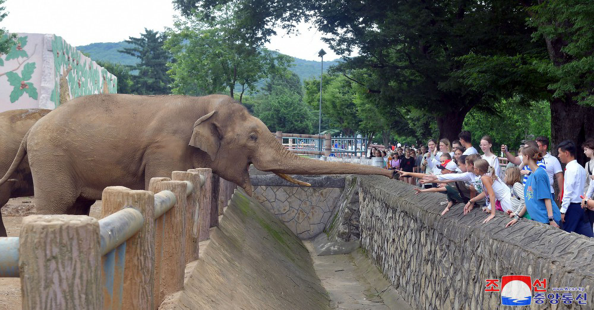 ▲▼俄羅斯兒童前往北韓元山松濤園參加夏令營。（圖／達志影像）