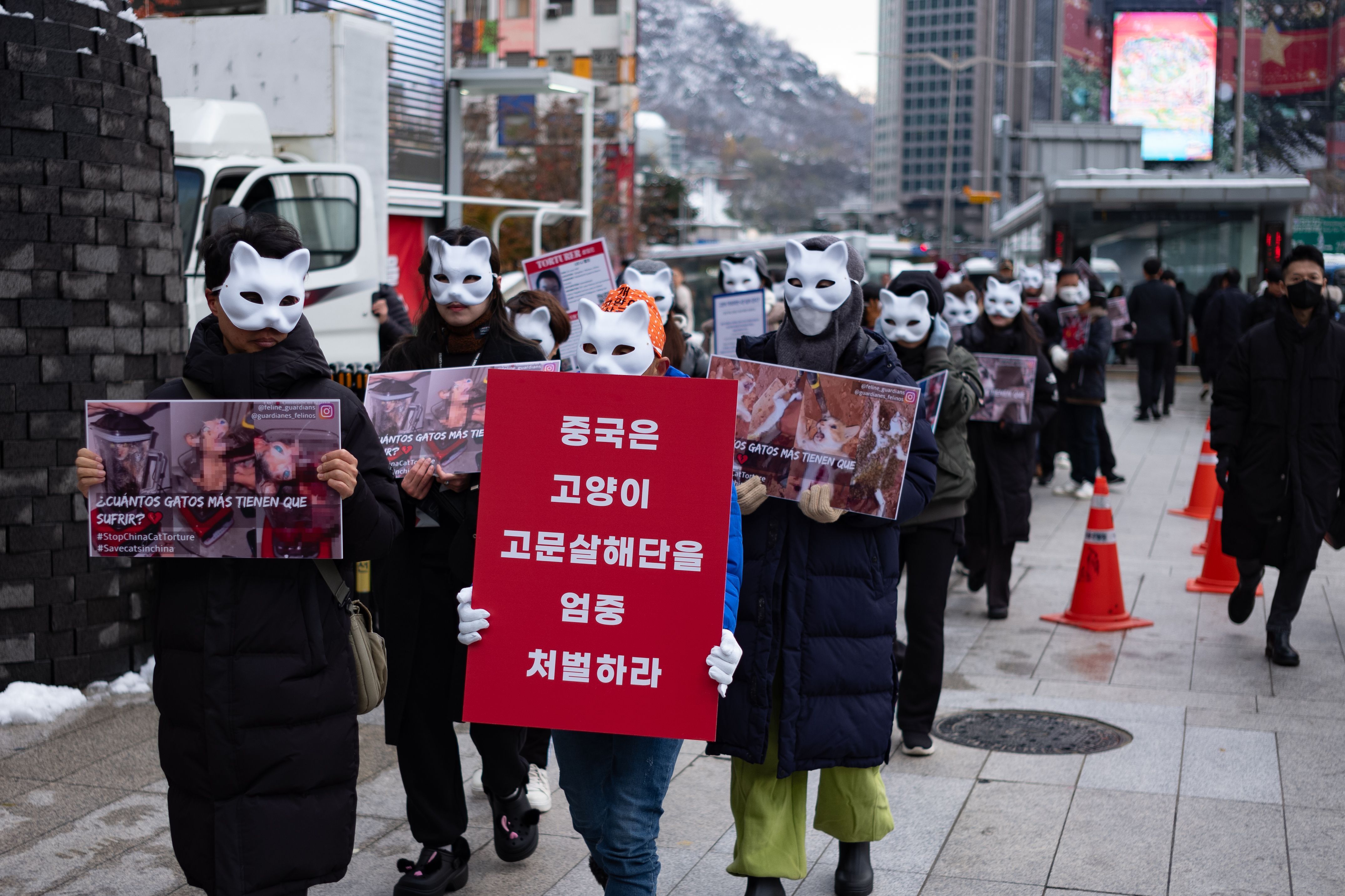 ▲▼南韓民眾在首爾明洞遊行，呼籲中國嚴懲虐貓行徑。（圖／達志影像）