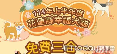 花蓮犬貓3合1絕育起跑！浪浪也納入　貓咪未植晶片明年開罰