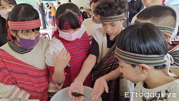 ▲▼             。（圖／記者李陳信得攝）