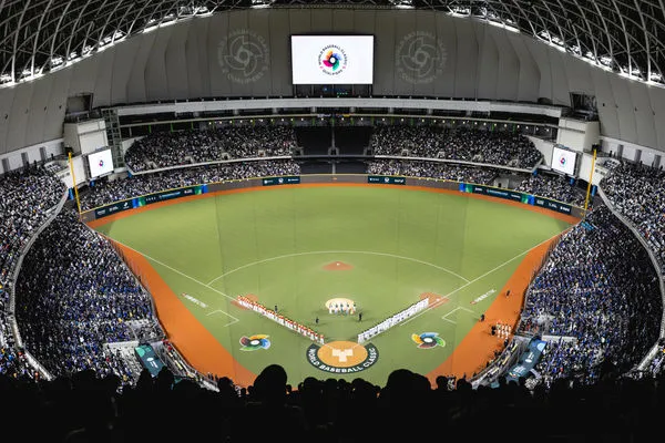 ▲臺北大巨蛋觀眾。（圖／中華棒協提供）