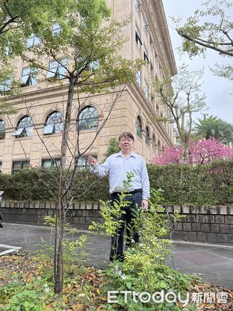 ▲最高檢察署櫻花盛開            。（圖／最高檢察署提供）