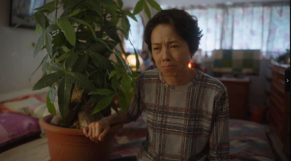 ▲▼《童話故事下集》盆栽被讚神設定。（圖／翻攝自Netflix、臉書）