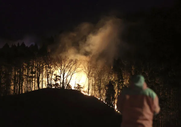 ▲▼ 日本山林火災。（圖／達志影像／美聯社）