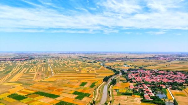 ▲▼大陸農村,大陸農業。（圖／翻攝自新華社）