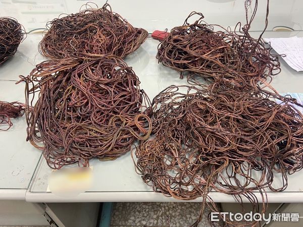 ▲警方調閱案發現場周邊監視器畫面，鎖定竊盜慣犯。（圖／吉安警分局提供，下同）