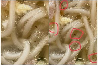 高雄水餃名店「湯麵驚見5蟲在漂」！他傻眼PO照　釣出一票苦主