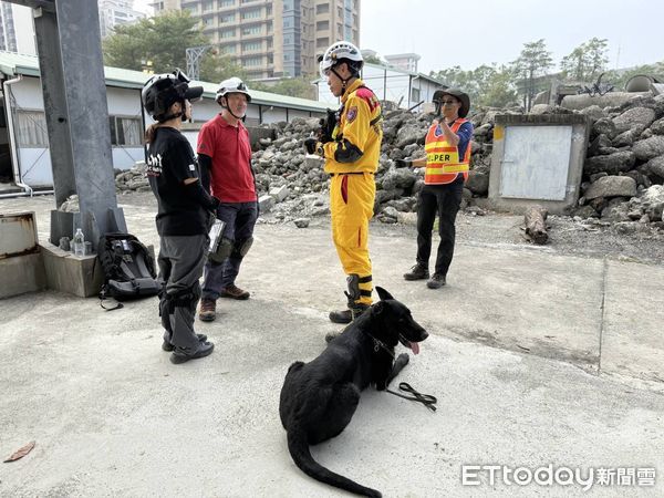 ▲▼高雄市政府消防局日前參與搜救犬領犬員進階訓練及國際搜救犬認證評測，6組警義消領犬員及搜救犬全數通過，取得4隻中級認證及2隻初級認證佳績。（圖／記者吳世龍翻攝）