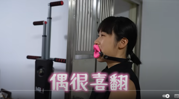 ▲▼薔薔,NanaQ。（圖／翻攝自YouTube／林嘉凌薔薔Maze）