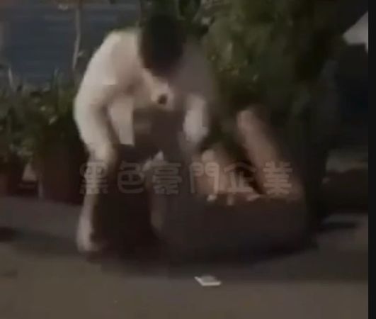 ▲彰化員林市區女女鬥毆。（圖／翻攝自黑色豪門企業）