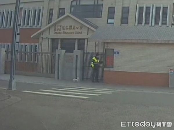 ▲神犬！馬爾濟斯迷路「找警察幫忙」　乖乖走斑馬線...警笑：智商好高。（圖／記者許權毅翻攝）