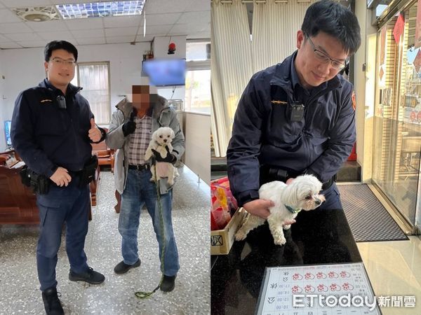 ▲神犬！馬爾濟斯迷路「找警察幫忙」　乖乖走斑馬線...警笑：智商好高。（圖／記者許權毅翻攝）