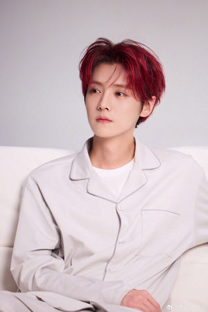 ▲▼鹿晗。（圖／翻攝自微博／鹿晗工作室）