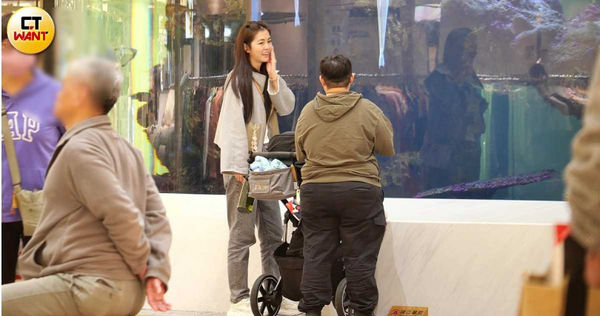 形單影隻1／任容萱情人節遛外甥　男友林柏澍傳金錢糾紛神隱