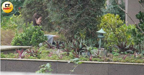 形單影隻1／任容萱情人節遛外甥　男友林柏澍傳金錢糾紛神隱