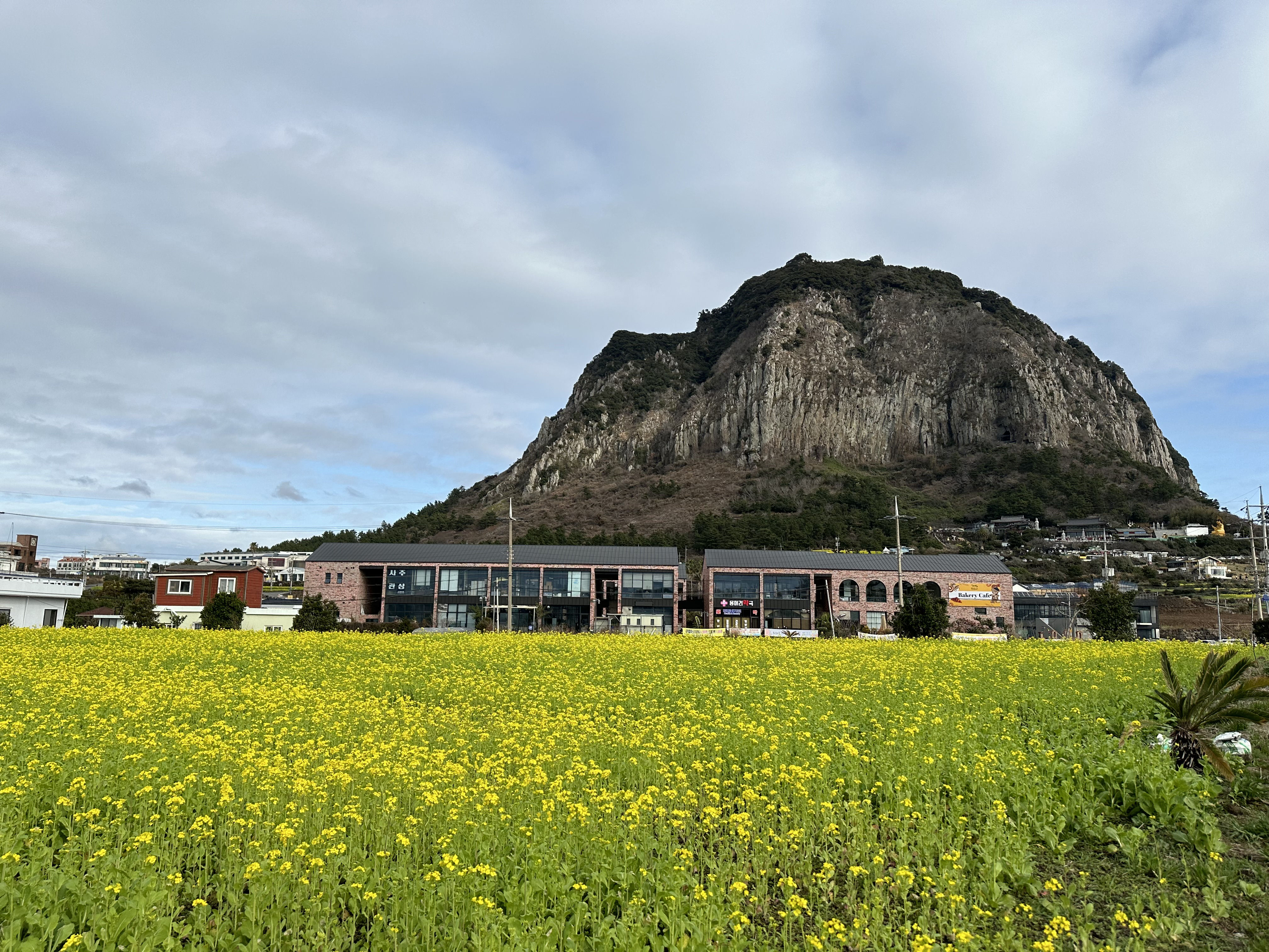 ▲▼南韓濟州島西歸浦市山房山。(圖/達志影像)