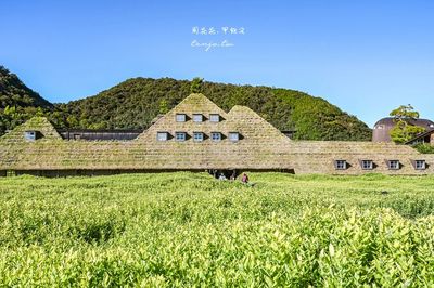 滋賀免費景點！翠綠「草屋根」太夢幻