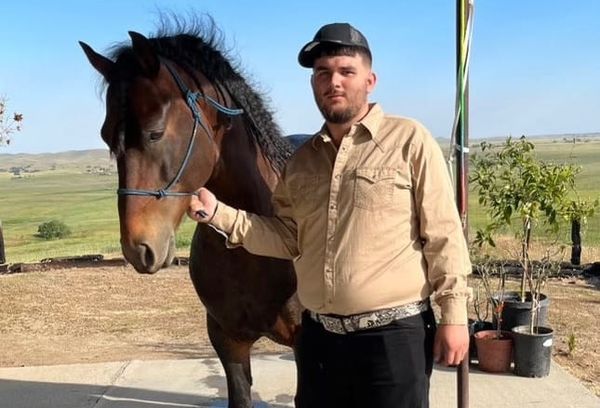 ▲▼             。（圖／翻攝自gofundme）