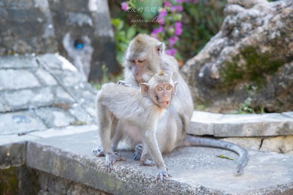 ▲▼烏魯瓦圖情人崖。（圖／部落客黑皮的旅遊筆記授權提供）