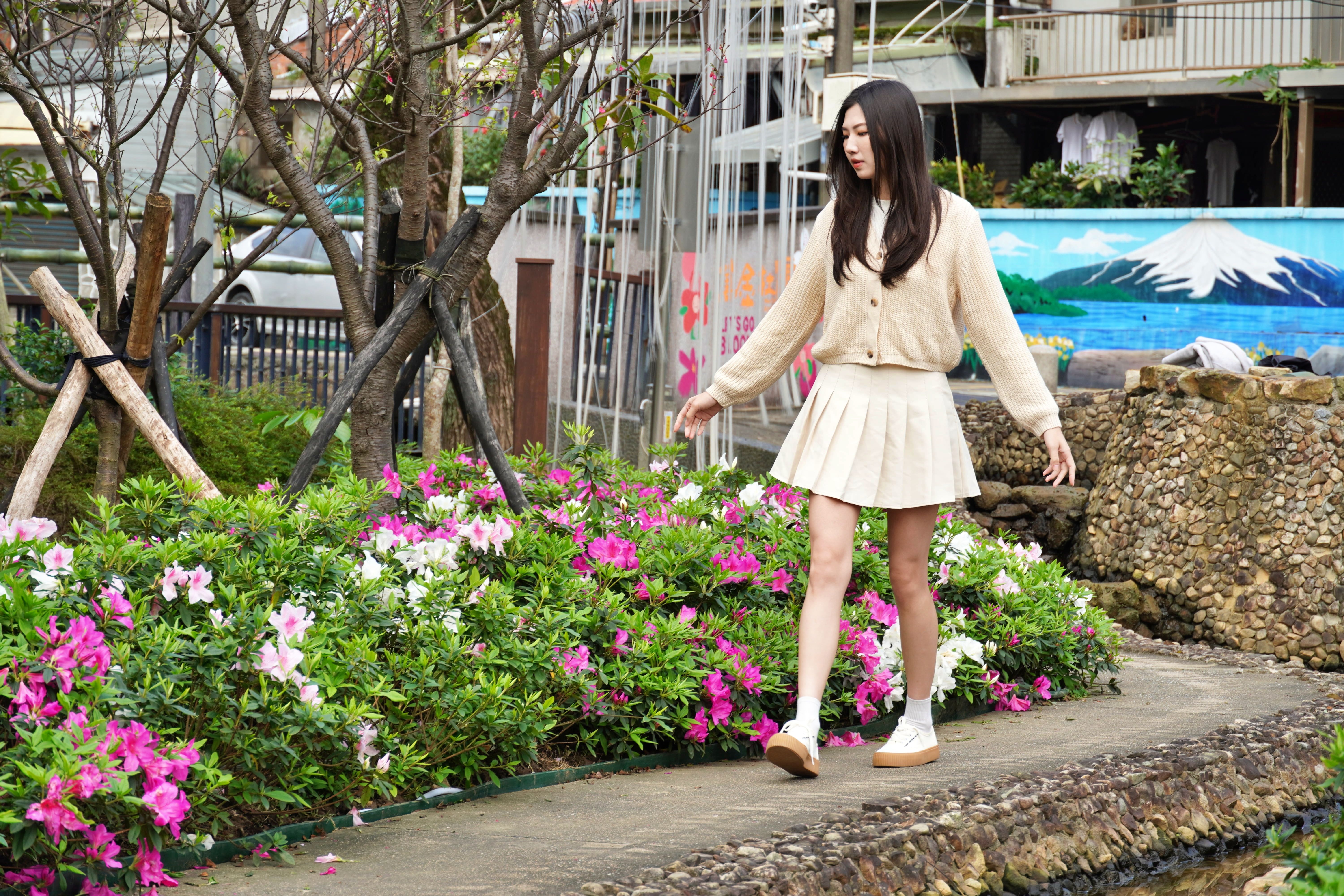 ▲新北萬金杜鵑2／27開展。（圖／新北市農業局提供）