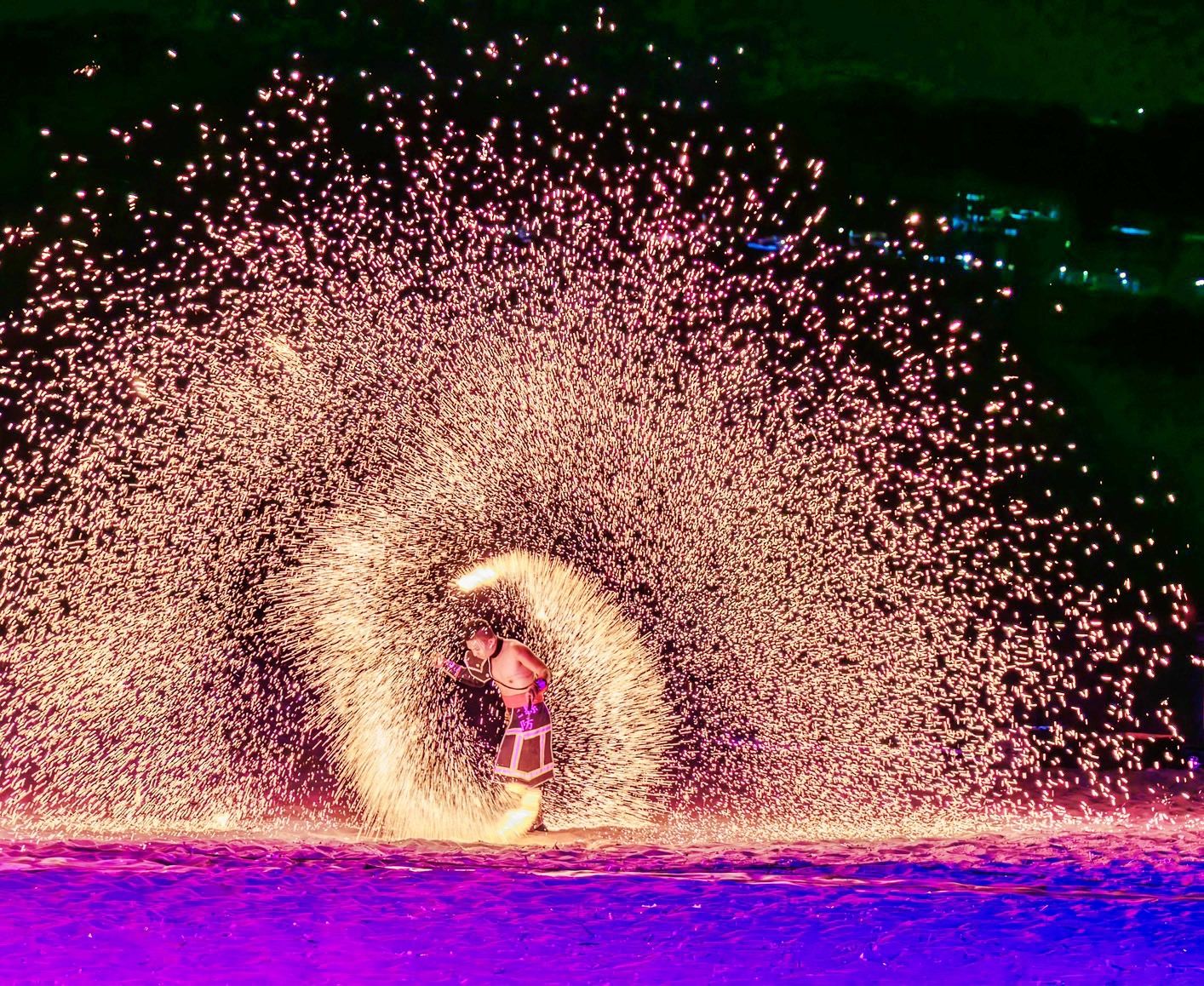 ▲新北萬金杜鵑2／27開展。（圖／新北市農業局提供）