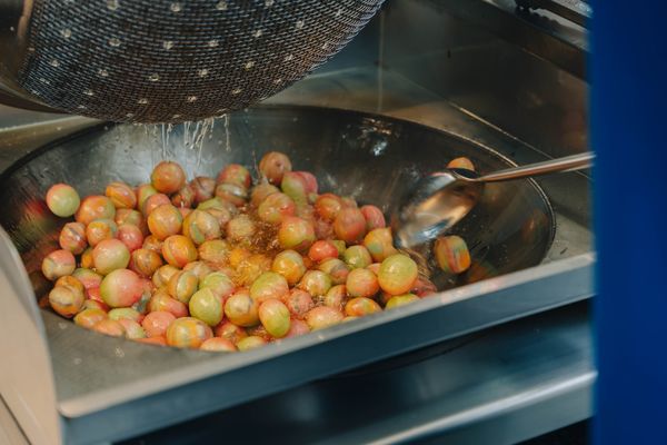 ▲台茂購物中心馬戲特技秀,雙焰特技秀,市集。（圖／台茂購物中心提供）