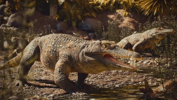 ▲▼研究人員在巴西南大河州城市南天堂發現距今約2.37億年前中生代的新爬行動物化石。（圖／翻攝自聖瑪麗亞聯邦大學網頁ufsm.br）