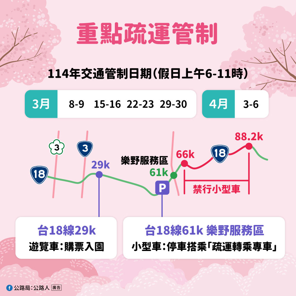 ▲▼阿里山櫻花季。（圖／公路局提供）