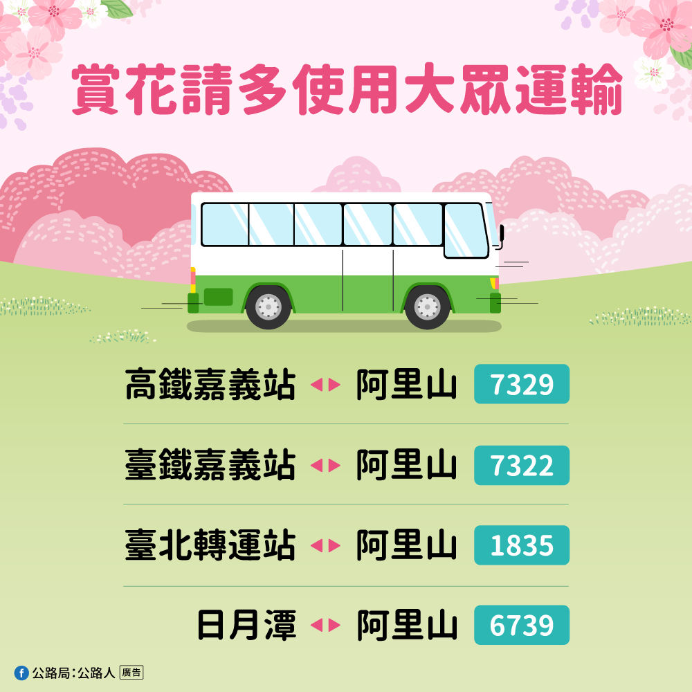 ▲▼阿里山櫻花季。（圖／公路局提供）