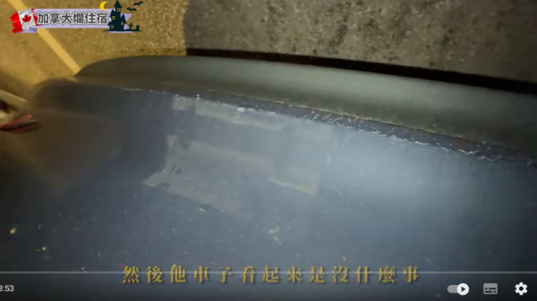 ▲▼薔薔。（圖／翻攝自YouTube／林嘉凌薔薔Maze）