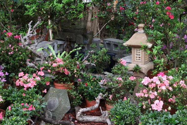 ▲新北市228玩法到萬金杜鵑花展、逛「淡古聯萌IP特展」。（圖／新北市觀旅局提供）