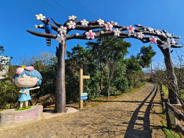 ▲三生步道,夜櫻燈籠,市集攤位。（圖／三芝區公所提供）