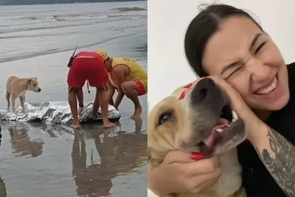 ▲▼史酷比此前死守主人屍體旁、不願離開的畫面中網上瘋傳。塔奇夫婦被感動後，決定收養牠，而史酷比也在新家過得十分快樂。（圖／記者葉睿涵攝）