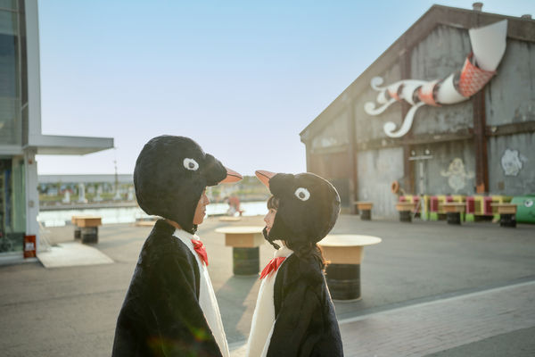 ▲《命中註定那頭鵝》詹懷雲、林奕嵐。（圖／台北双喜提供）