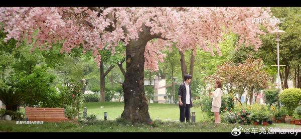 ▲▼《難哄》《愛你》導演都是台灣人。（圖／翻攝自微博）