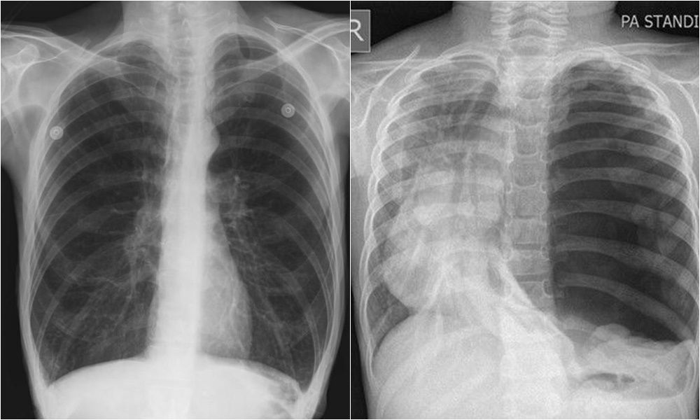 ▲▼             。（圖／翻攝自Facebook／蘇一峰）