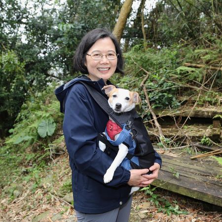 ▲▼前總統蔡英文在社群平台透露，近日前往浪漫台三線的「樟之細路」，體驗山林古道的文化與風景。（圖／翻攝自Facebook／蔡英文）