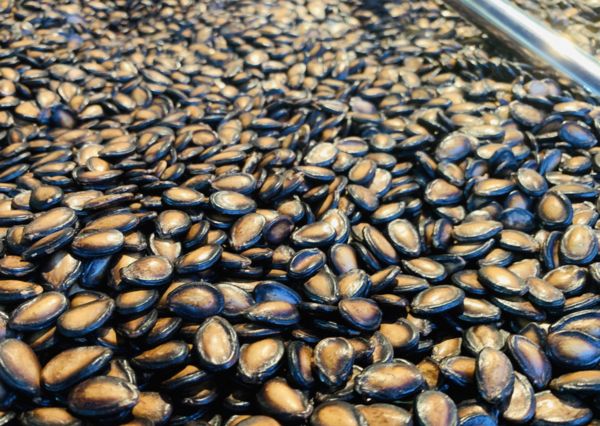 ▲▼瓜子。（圖／翻攝微博）