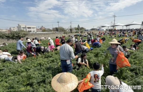 ▲VDS活力東勢辦理2025年「國際台灣胡蘿蔔日」今年邁入四屆，今日在東勢鄉鐵馬道旁盛大舉行。（圖／記者游瓊華翻攝）