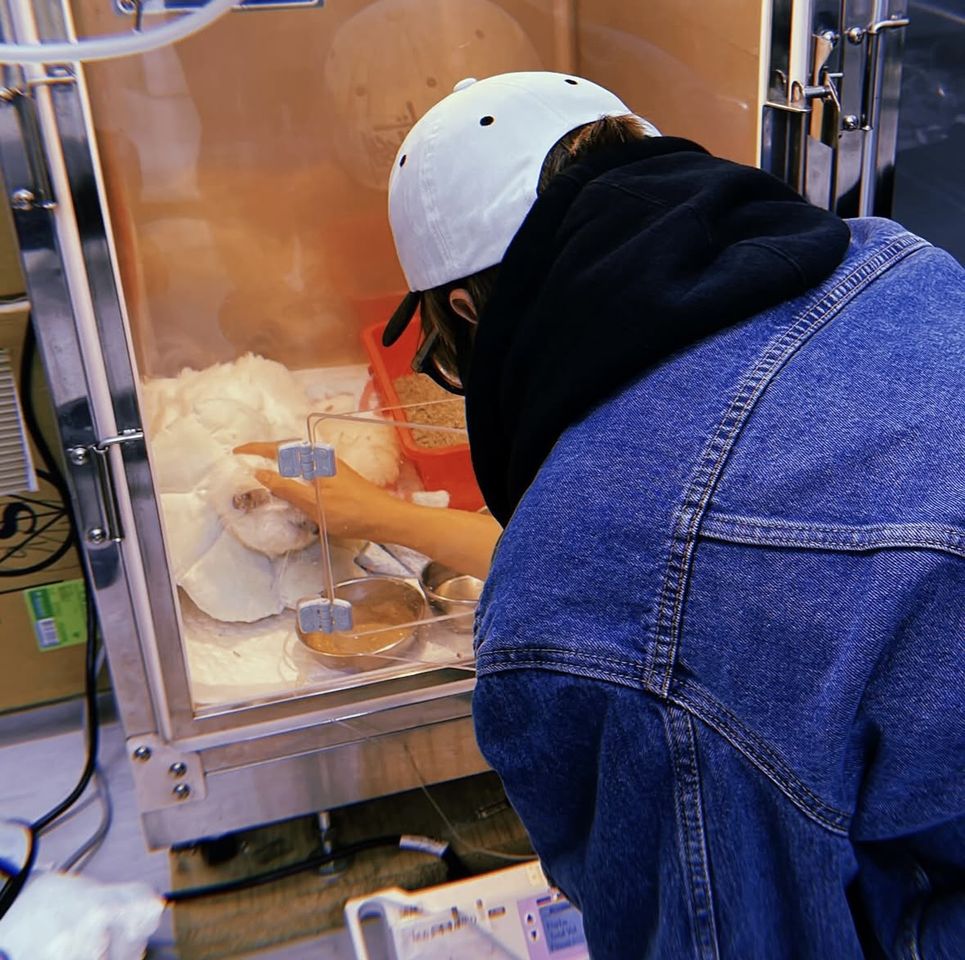 ▲▼八三夭阿璞愛貓過世。（圖／翻攝阿璞臉書）