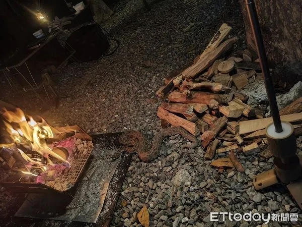 ▲▼露營驚見「這蛇」躲營火旁陰影！網：踩到變「命運的鎖鏈」。（圖／網友陳睿翊授權使用）