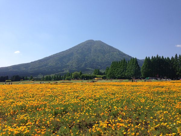 ▲▼宮崎縣生駒高原。（圖／宮崎縣小林市提供）