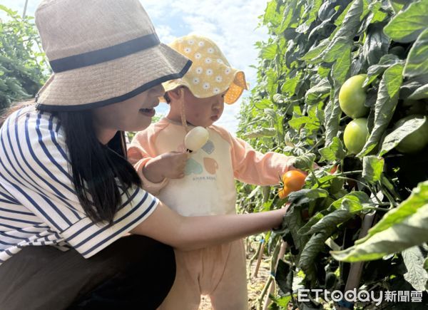 ▲雲林展鮮農產生技辦理第二屆小紅牛「喜番生活節-展開新鮮的每一天」，今日盛大舉行。（圖／記者游瓊華翻攝）